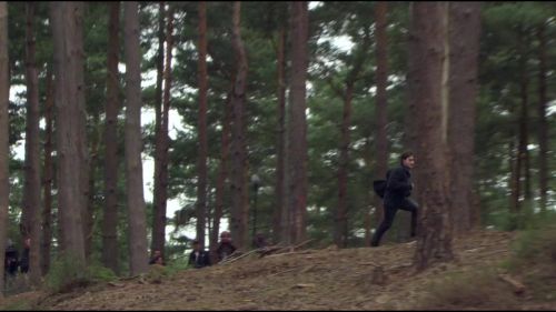 8E912DE2_HP7_ABC_FAMILY_INTERSTITIAL_FOREST_RUN_1080_156.jpg