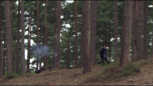 8E912DE2_HP7_ABC_FAMILY_INTERSTITIAL_FOREST_RUN_1080_161.jpg