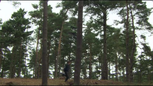 8E912DE2_HP7_ABC_FAMILY_INTERSTITIAL_FOREST_RUN_1080_208.jpg