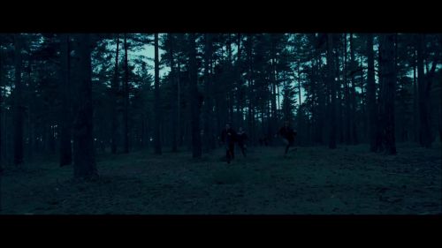 8E912DE2_HP7_ABC_FAMILY_INTERSTITIAL_FOREST_RUN_1080_240.jpg