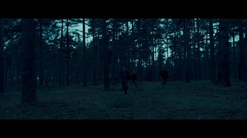 8E912DE2_HP7_ABC_FAMILY_INTERSTITIAL_FOREST_RUN_1080_241.jpg