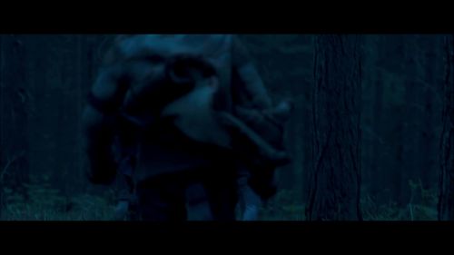 8E912DE2_HP7_ABC_FAMILY_INTERSTITIAL_FOREST_RUN_1080_256.jpg