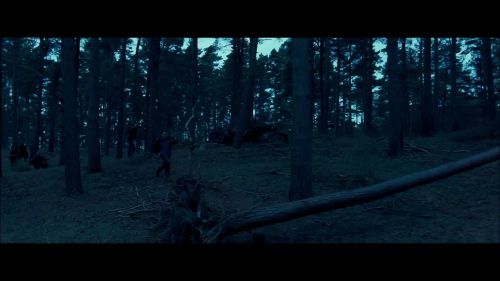 Click to view full size image
==============
8E912DE2_HP7_ABC_FAMILY_INTERSTITIAL_FOREST_RUN_1080_257.jpg 8E912DE2_HP7_ABC_FAMILY_INTERSTITIAL_FOREST_RUN_1080_257.jpg