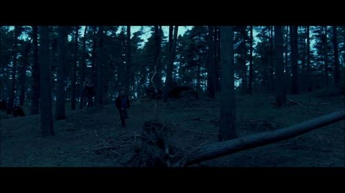 8E912DE2_HP7_ABC_FAMILY_INTERSTITIAL_FOREST_RUN_1080_258.jpg