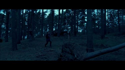 8E912DE2_HP7_ABC_FAMILY_INTERSTITIAL_FOREST_RUN_1080_259.jpg