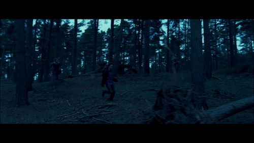 8E912DE2_HP7_ABC_FAMILY_INTERSTITIAL_FOREST_RUN_1080_260.jpg