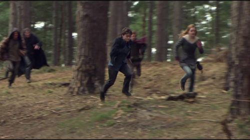 8E912DE2_HP7_ABC_FAMILY_INTERSTITIAL_FOREST_RUN_1080_271.jpg