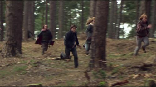 Click to view full size image
==============
8E912DE2_HP7_ABC_FAMILY_INTERSTITIAL_FOREST_RUN_1080_275.jpg 8E912DE2_HP7_ABC_FAMILY_INTERSTITIAL_FOREST_RUN_1080_275.jpg