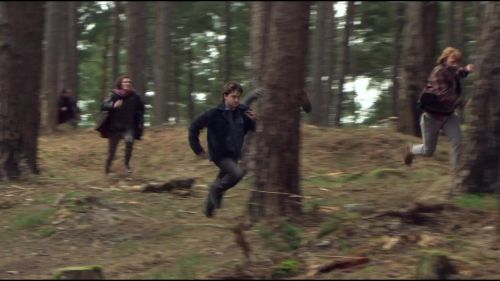8E912DE2_HP7_ABC_FAMILY_INTERSTITIAL_FOREST_RUN_1080_276.jpg