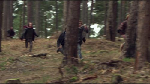 8E912DE2_HP7_ABC_FAMILY_INTERSTITIAL_FOREST_RUN_1080_277.jpg