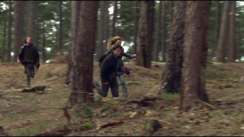 8E912DE2_HP7_ABC_FAMILY_INTERSTITIAL_FOREST_RUN_1080_279.jpg
