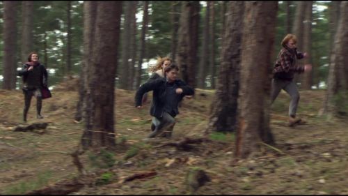 8E912DE2_HP7_ABC_FAMILY_INTERSTITIAL_FOREST_RUN_1080_280.jpg
