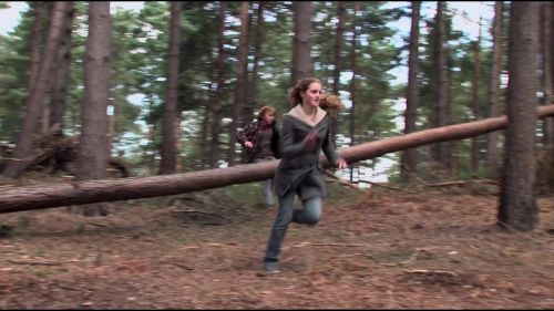 8E912DE2_HP7_ABC_FAMILY_INTERSTITIAL_FOREST_RUN_1080_293.jpg