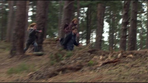 8E912DE2_HP7_ABC_FAMILY_INTERSTITIAL_FOREST_RUN_1080_317.jpg