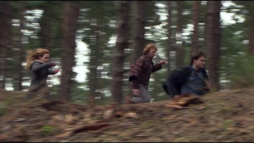 8E912DE2_HP7_ABC_FAMILY_INTERSTITIAL_FOREST_RUN_1080_322.jpg