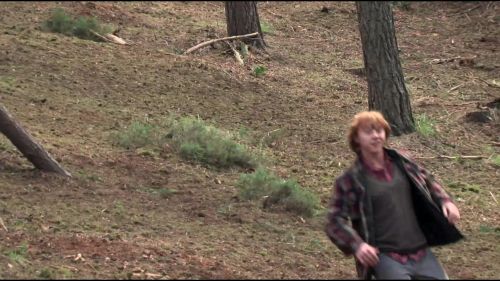 8E912DE2_HP7_ABC_FAMILY_INTERSTITIAL_FOREST_RUN_1080_327.jpg