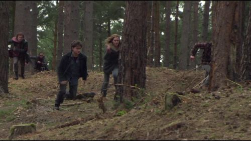 8E912DE2_HP7_ABC_FAMILY_INTERSTITIAL_FOREST_RUN_1080_351.jpg