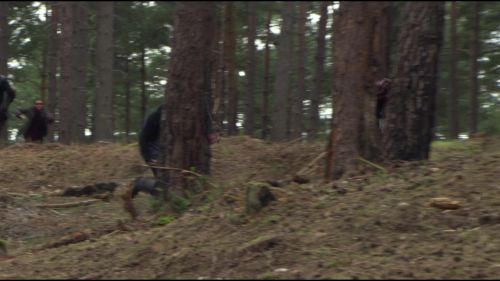 8E912DE2_HP7_ABC_FAMILY_INTERSTITIAL_FOREST_RUN_1080_355.jpg