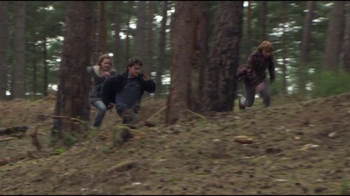 8E912DE2_HP7_ABC_FAMILY_INTERSTITIAL_FOREST_RUN_1080_358.jpg