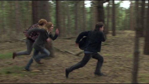 8E912DE2_HP7_ABC_FAMILY_INTERSTITIAL_FOREST_RUN_1080_390.jpg