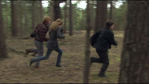 8E912DE2_HP7_ABC_FAMILY_INTERSTITIAL_FOREST_RUN_1080_393.jpg