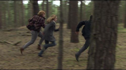 8E912DE2_HP7_ABC_FAMILY_INTERSTITIAL_FOREST_RUN_1080_394.jpg