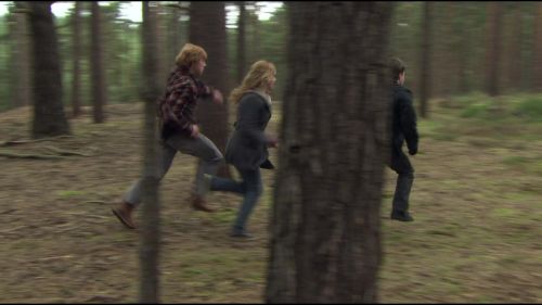 8E912DE2_HP7_ABC_FAMILY_INTERSTITIAL_FOREST_RUN_1080_396.jpg