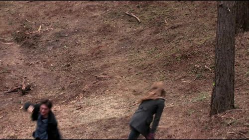 8E912DE2_HP7_ABC_FAMILY_INTERSTITIAL_FOREST_RUN_1080_422.jpg