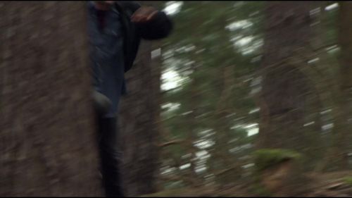 Click to view full size image
==============
8E912DE2_HP7_ABC_FAMILY_INTERSTITIAL_FOREST_RUN_1080_433.jpg 8E912DE2_HP7_ABC_FAMILY_INTERSTITIAL_FOREST_RUN_1080_433.jpg