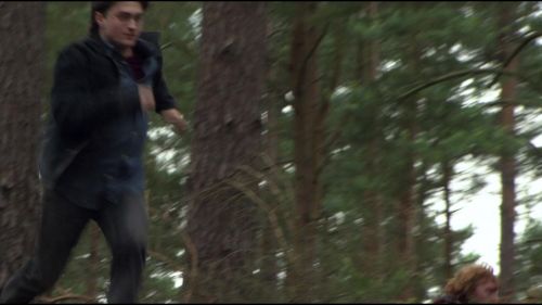 Click to view full size image
==============
8E912DE2_HP7_ABC_FAMILY_INTERSTITIAL_FOREST_RUN_1080_436.jpg 8E912DE2_HP7_ABC_FAMILY_INTERSTITIAL_FOREST_RUN_1080_436.jpg