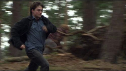 8E912DE2_HP7_ABC_FAMILY_INTERSTITIAL_FOREST_RUN_1080_442.jpg
