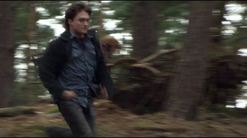 8E912DE2_HP7_ABC_FAMILY_INTERSTITIAL_FOREST_RUN_1080_443.jpg