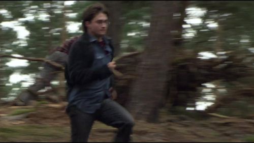 8E912DE2_HP7_ABC_FAMILY_INTERSTITIAL_FOREST_RUN_1080_444.jpg