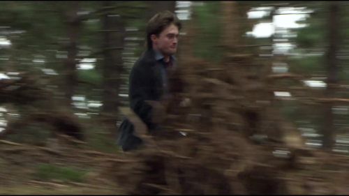 8E912DE2_HP7_ABC_FAMILY_INTERSTITIAL_FOREST_RUN_1080_448.jpg