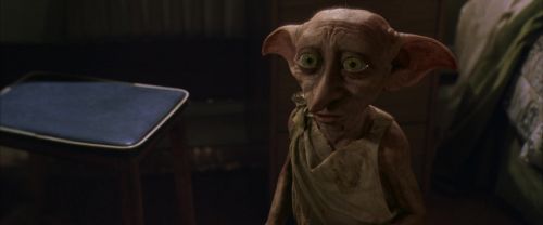 CS-Potterish_00281.jpg