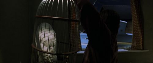 Click to view full size image
==============
CS-Potterish_00661.jpg CS-Potterish_00661.jpg