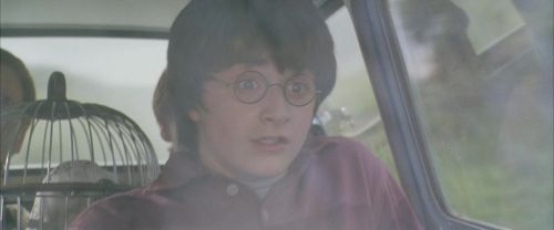 Click to view full size image
==============
CS-Potterish_00739.jpg CS-Potterish_00739.jpg