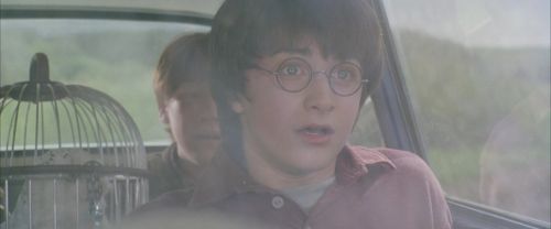 CS-Potterish_00741.jpg