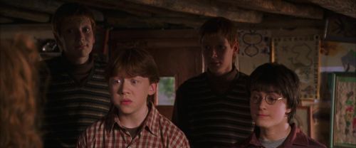CS-Potterish_00817.jpg
