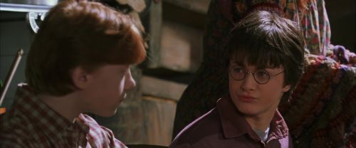 CS-Potterish_00863.jpg