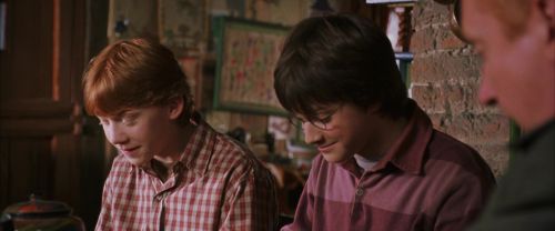 CS-Potterish_00913.jpg