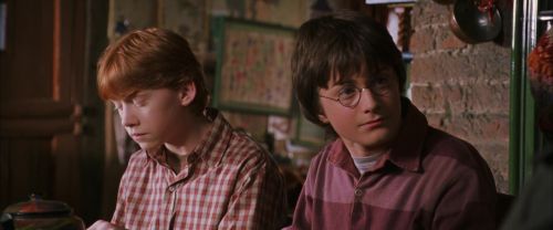 CS-Potterish_00916.jpg