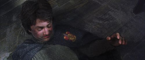 CS-Potterish_01045.jpg