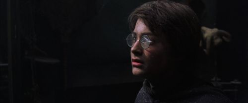 CS-Potterish_01067.jpg