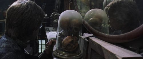 CS-Potterish_01088.jpg