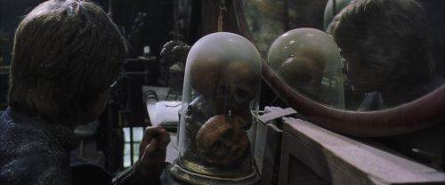 CS-Potterish_01089.jpg