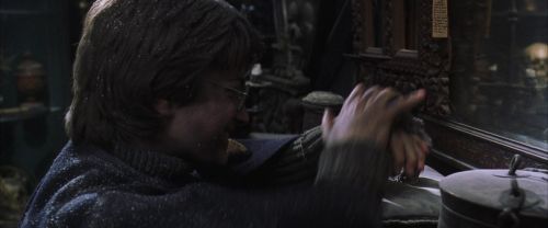 CS-Potterish_01107.jpg