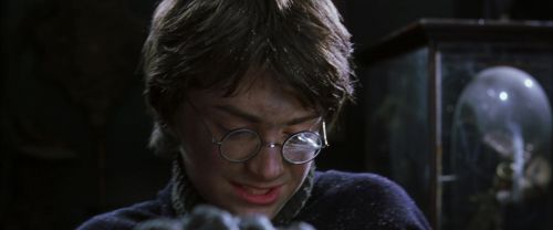 CS-Potterish_01109.jpg