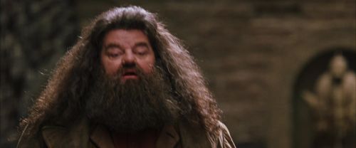 CS-Potterish_01188.jpg