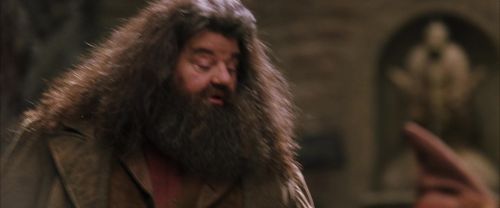 CS-Potterish_01190.jpg